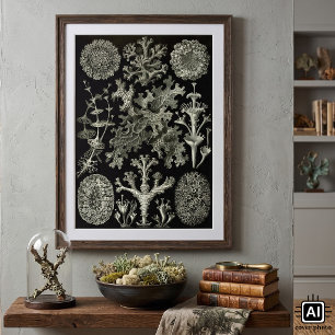 Lichen von Ernst Haeckel, Pflanze für Vintage Natu Poster