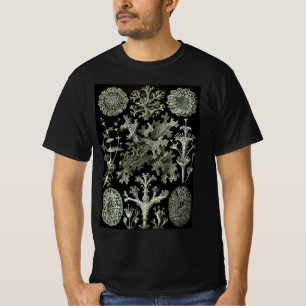 Lichen von Ernst Haeckel, Pflanze für Vintage Natu T-Shirt
