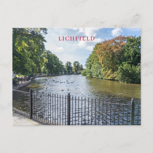 Lichfield Minster Pool View Postkarte (Vorderseite)