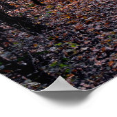 Licht am Ende des Wegplakats Poster (Ecke)