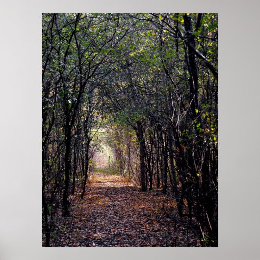 Licht am Ende des Wegplakats Poster (Vorne)