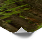 Licht am Ende eines Baumstunnels Poster (Ecke)