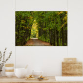 Licht am Ende eines Baumstunnels Poster (Küche)