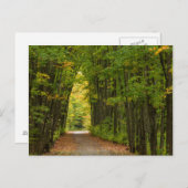 Licht am Ende eines Baumstunnels Postkarte (Vorne/Hinten)