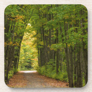 Licht am Ende eines Baumtunnels Untersetzer