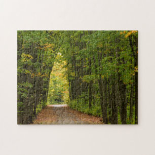Licht am Ende eines Tunnel aus Bäumen Puzzle