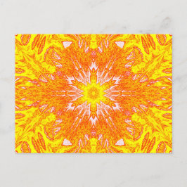 Licht auf der Wiese 9 Postkarte