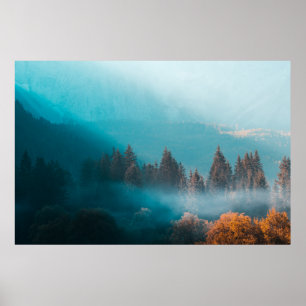 Licht auf einem nebligen Herbstwald Poster