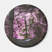 Licht auf Weg-Natur-Magneten Magnet (Vorne)