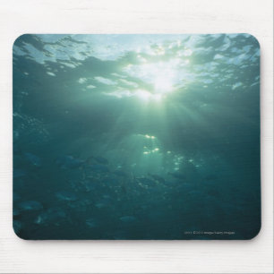 Licht, das auf Korallenriff und Schule der Fische Mousepad