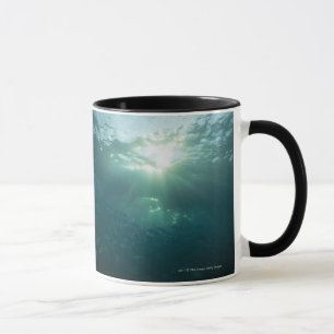 Licht, das auf Korallenriff und Schule der Fische Tasse