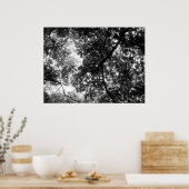 Licht durch die Bäume Poster (Küche)