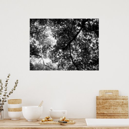 Licht durch die Bäume Poster (Küche)