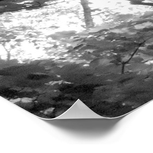 Licht durch die Bäume Poster (Ecke)