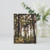 Licht durch die Waldbäume Postkarte (Stehend Vorderseite)