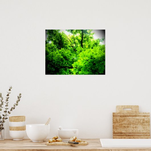 Licht im Baum Poster (Küche)