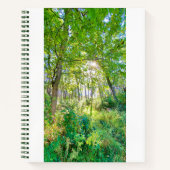Licht im Forest Sketchbook Notizblock (Vorderseite)