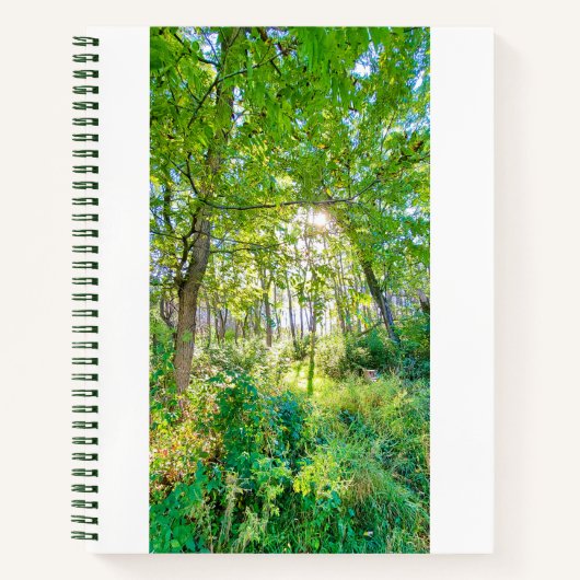Licht im Forest Sketchbook Notizblock (Vorderseite)