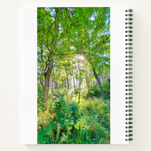 Licht im Forest Sketchbook Notizblock (Rückseite)