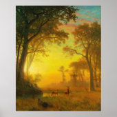 Licht im Wald Poster (Vorne)