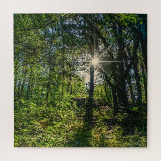 Licht im Wald Puzzle (Vertikal)