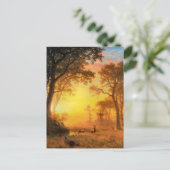 Licht im Wald von Albert Bierstadt Postkarte (Stehend Vorderseite)