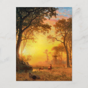 Licht im Wald von Albert Bierstadt Postkarte