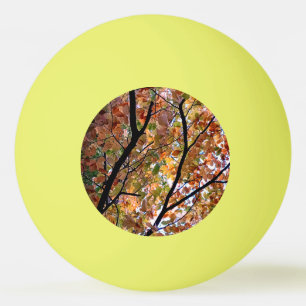 Licht in den Blätter Tischtennisball