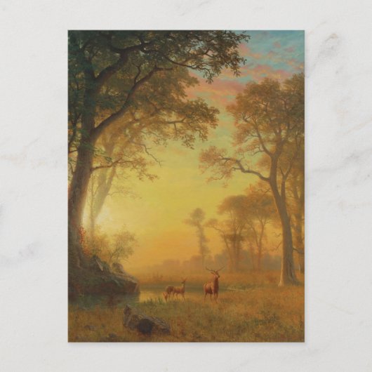 Licht in den Wald von Albert Bierstadt Postkarte (Vorderseite)