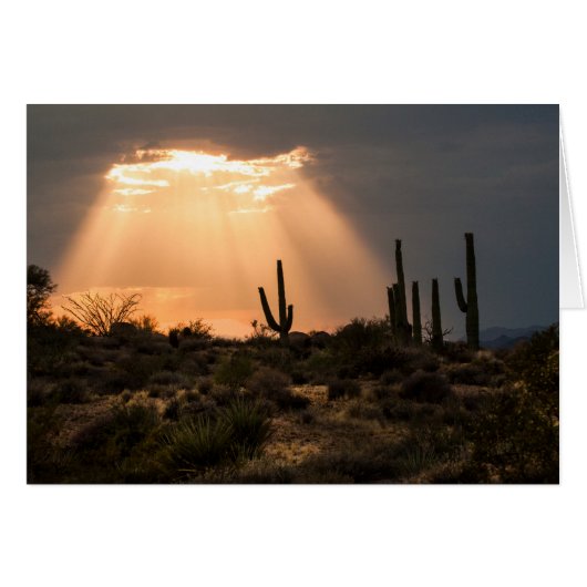 Licht in der Wüste (Vorderseite (Horizontal))