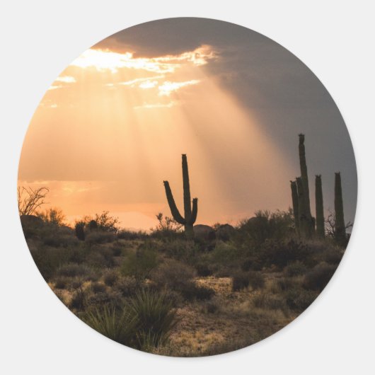 Licht in der Wüste Runder Aufkleber (Vorderseite)