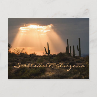 Licht in der Wüste Scottsdale, AZ Postkarte
