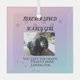 Licht jenseits des Regenbogentributes Ornament Aus Glas