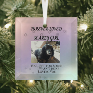 Licht jenseits des Regenbogentributes Ornament Aus Glas