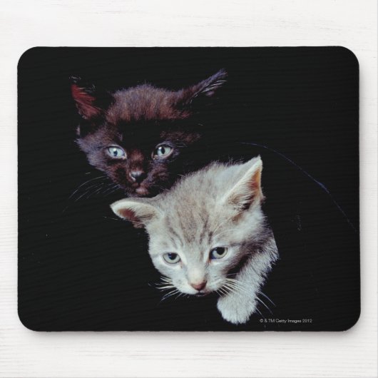 Licht und Dunkle Kätzchen Mousepad (Vorne)