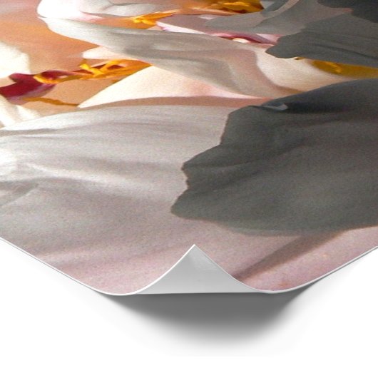 Licht und Schatten 2 Poster (Ecke)