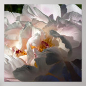 Licht und Schatten 2 Poster (Vorne)