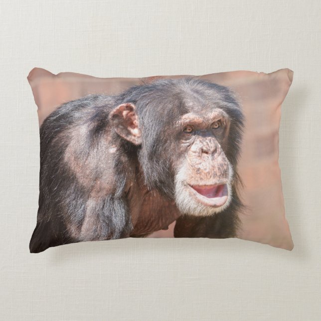 Licht und Stille - Schimpansenstärke Dekokissen (Vorderseite)