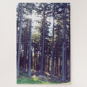 Licht zwischen den Kiefern - Wilde Natur Rumänien Puzzle