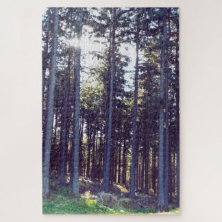 Licht zwischen den Kiefern - Wilde Natur Rumänien Puzzle