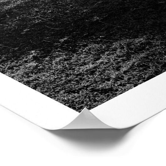 Lichtbaum: Derwentwater, Cumbria Poster (Ecke)