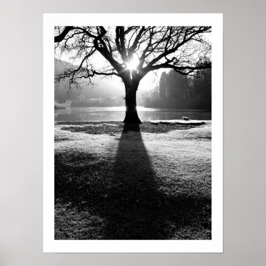 Lichtbaum: Derwentwater, Cumbria Poster (Vorne)