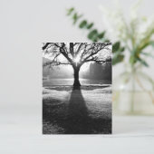 Lichtbaum: Derwentwater, Lake District Postkarte (Stehend Vorderseite)