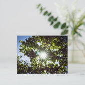 Lichtblick Postkarte (Stehend Vorderseite)