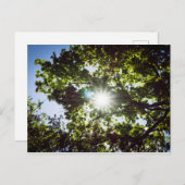 Lichtblick Postkarte (Vorne/Hinten)