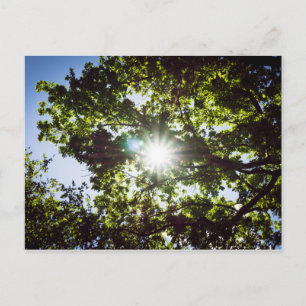 Lichtblick Postkarte