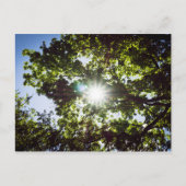 Lichtblick Postkarte (Vorderseite)