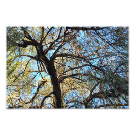 Lichtbögen Fotodruck