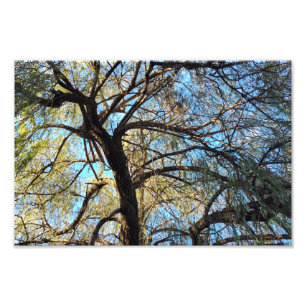 Lichtbögen Fotodruck