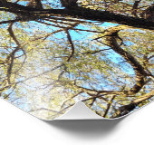 Lichtbögen Fotodruck (Ecke)